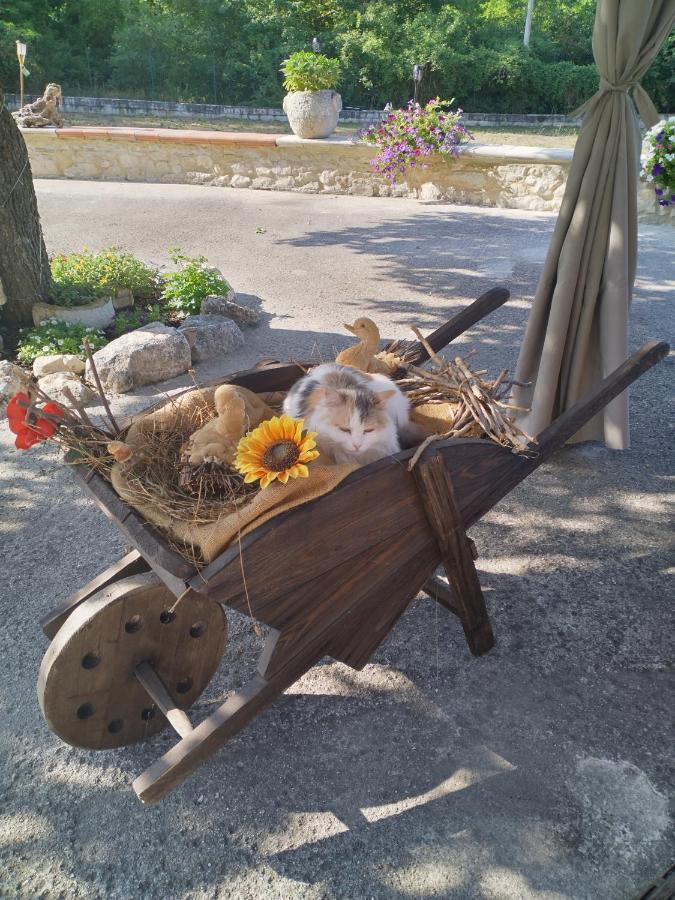 "Il Miglio" Country House Pettorano sul Gizio Exterior photo